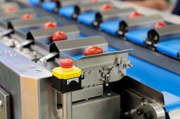 Conveyor with automatic food weighing machine. Selective focus