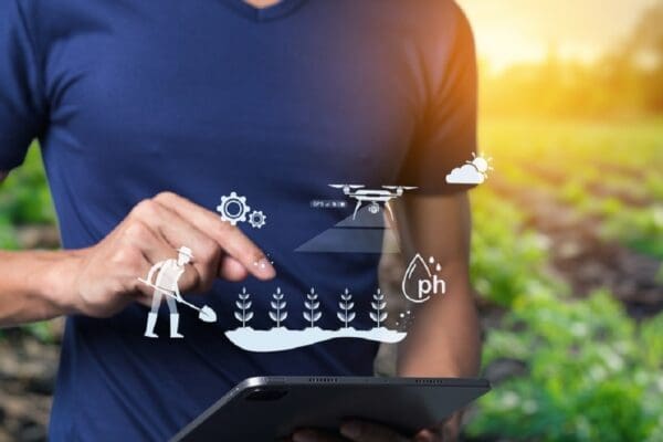 A farmer uses modern technology on a tablet to enhance sustainable farming practices