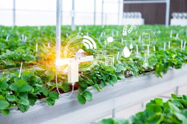 Agriculture smart farming technology sensor co2 humidity lighting temperature monitoring device for automation plant nursery in greenhouse